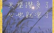 雷速体育app-关于上海坚强不够，输给浙江，错过重燃火的机会的信息