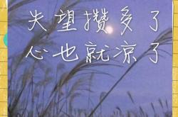 雷速体育app-关于上海坚强不够，输给浙江，错过重燃火的机会的信息