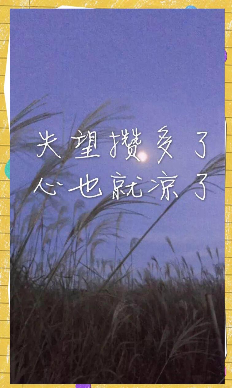 关于上海坚强不够，输给浙江，错过重燃火的机会的信息